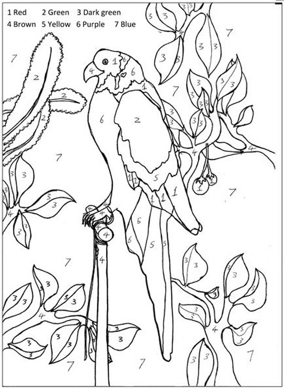 Parrot Colouring By Number