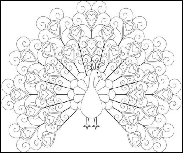 Peacock Coloring With Hearts