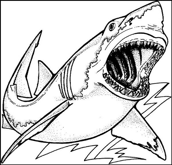 Realistic Shark Page