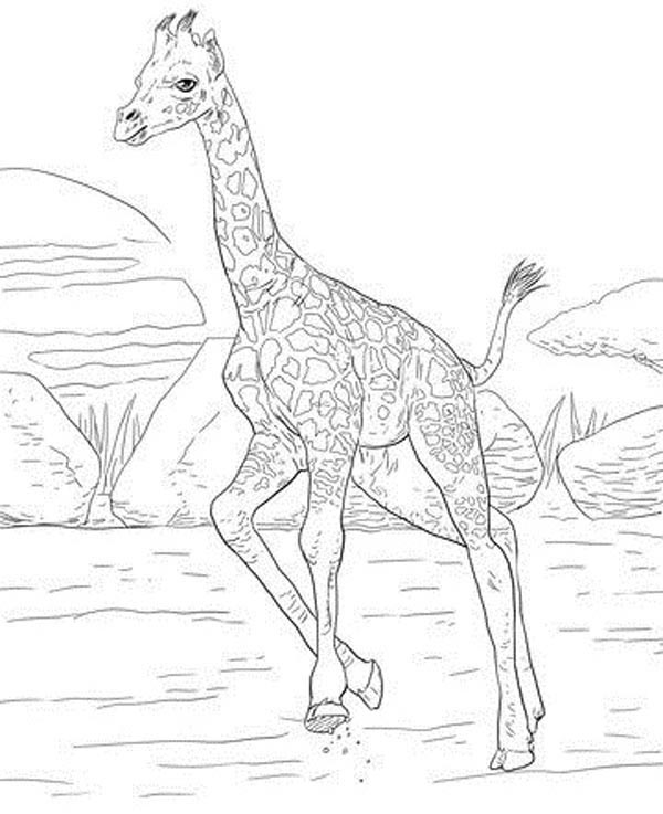 Realistic Colouring Idea