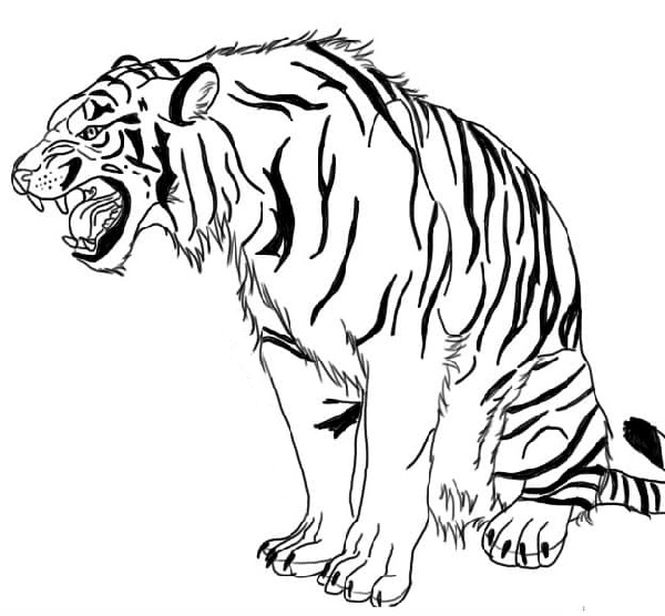 Roaring Tiger Coloring Sheet