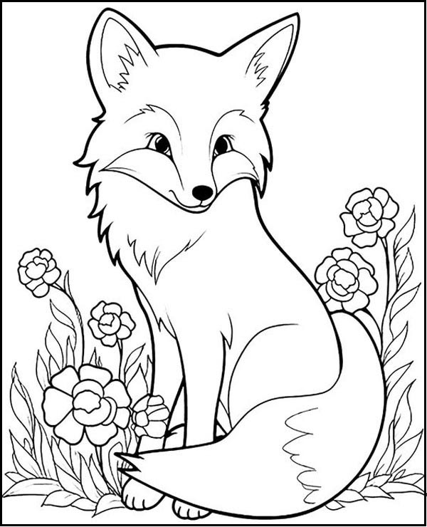 Snow Fox Image