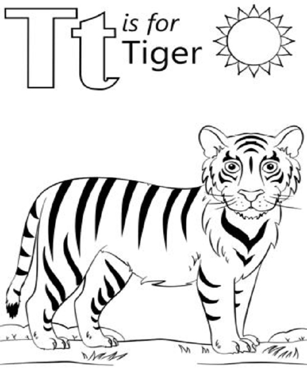 Tiger Coloring Pages For Preschool