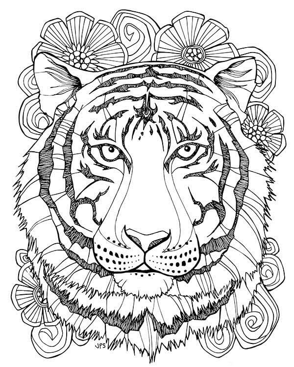 Tiger Face Picture