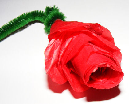 Tissue paper Rose