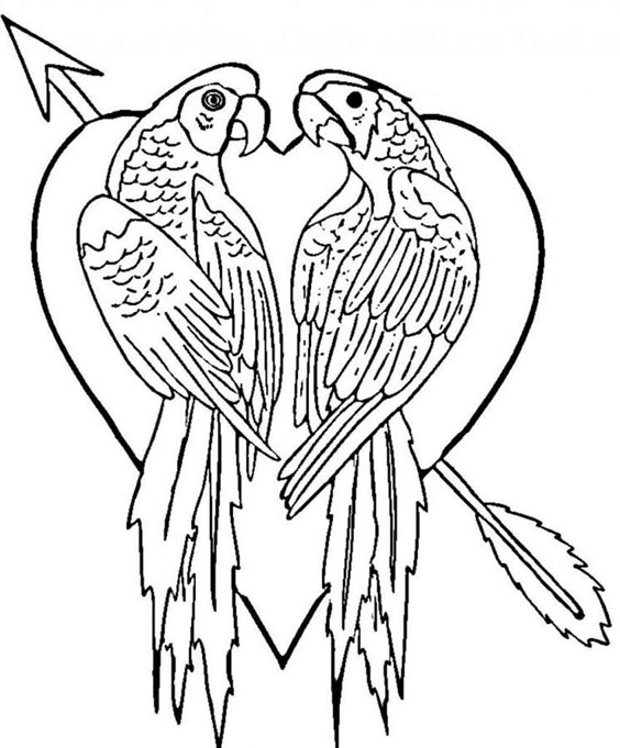 Unique Parrot Coloring Picture
