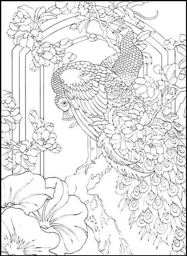Unique Peacock 