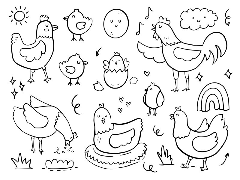 Chicken Coloring Pages