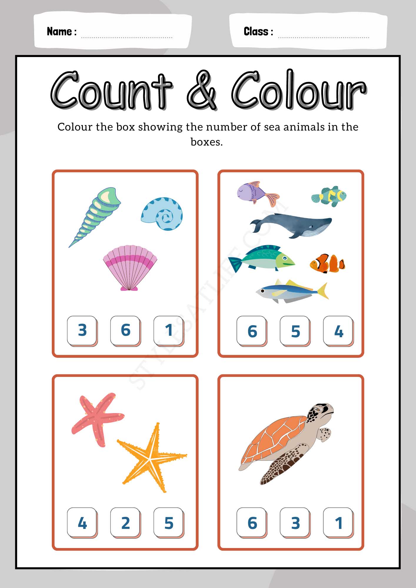 Count & Color