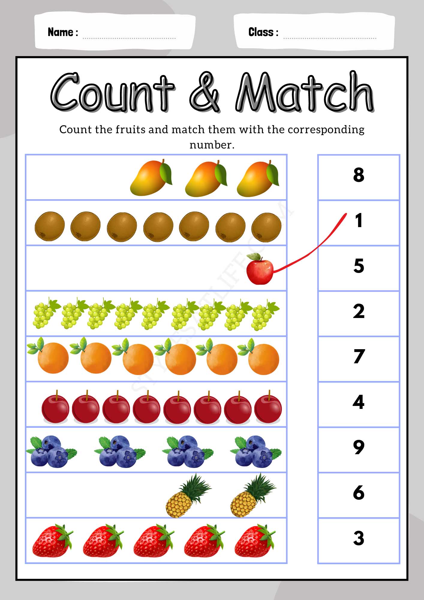 Count & Match