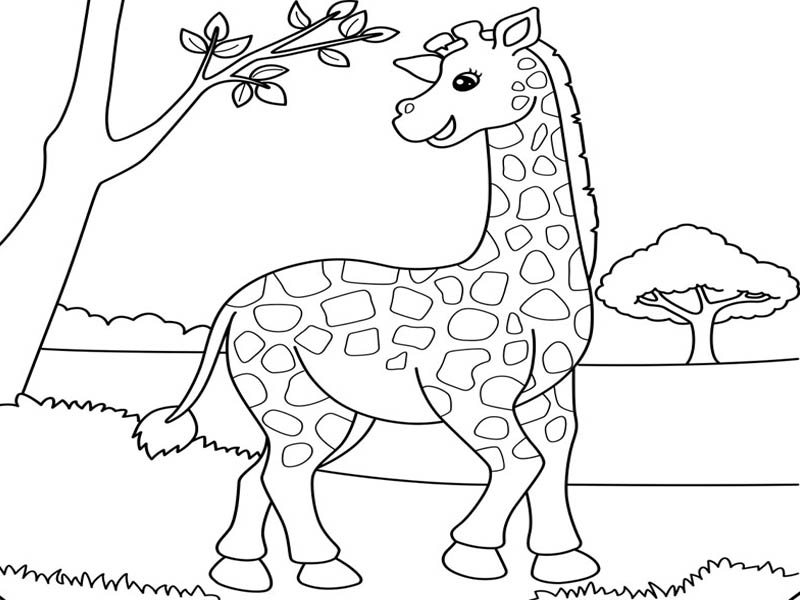 Giraffe Coloring Pages