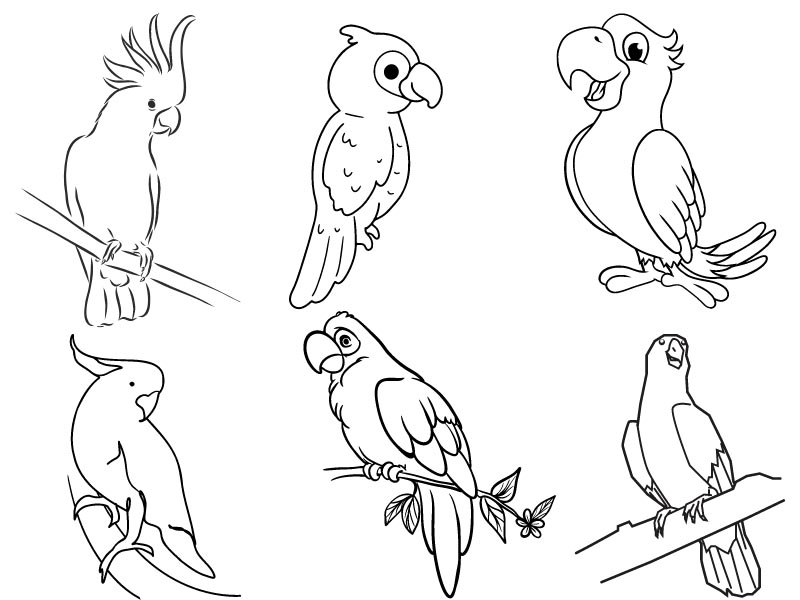 parrot coloring pages