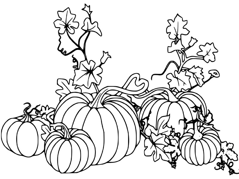 pumpkin coloring pages