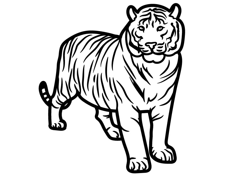 tiger coloring pages 