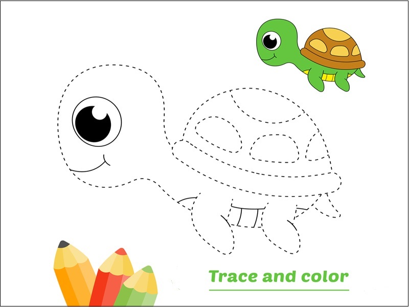 Turtle Coloring Pages