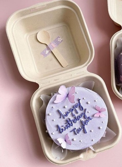 Butterfly Bento Cake