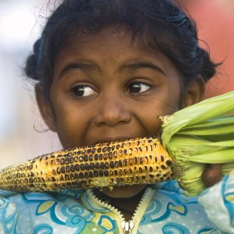 Corn