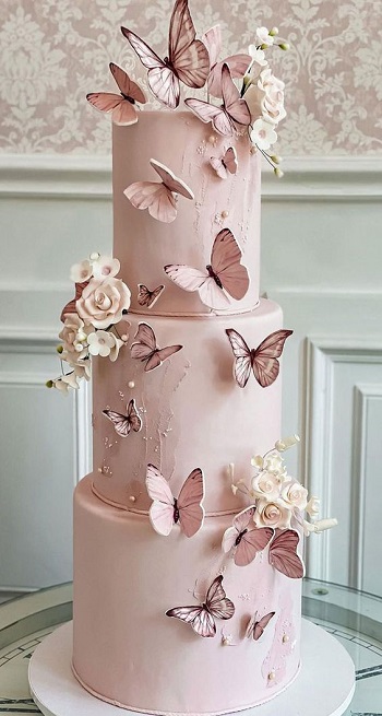 Dust Pink Butterfly Cake Design