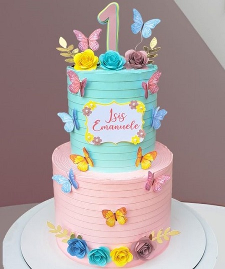 Pastel Butterfly Cake