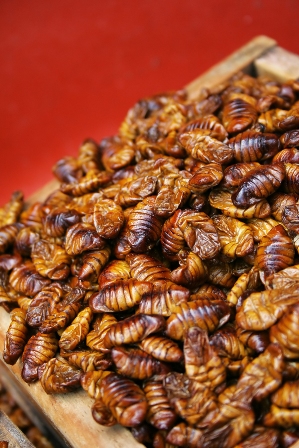 Steamed Silkworm