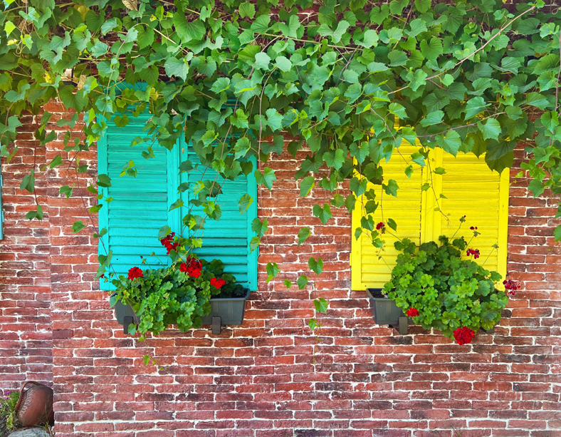 Brick House Window