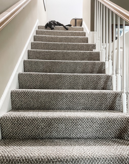 Cozy Contemporary Carpet