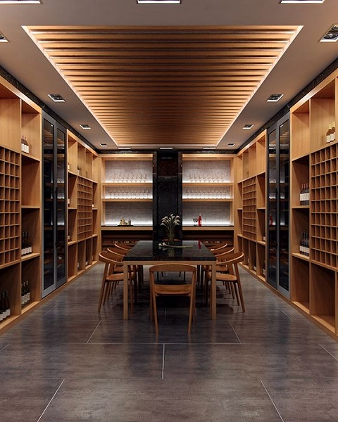 Acoustic Panels Ceiling Design