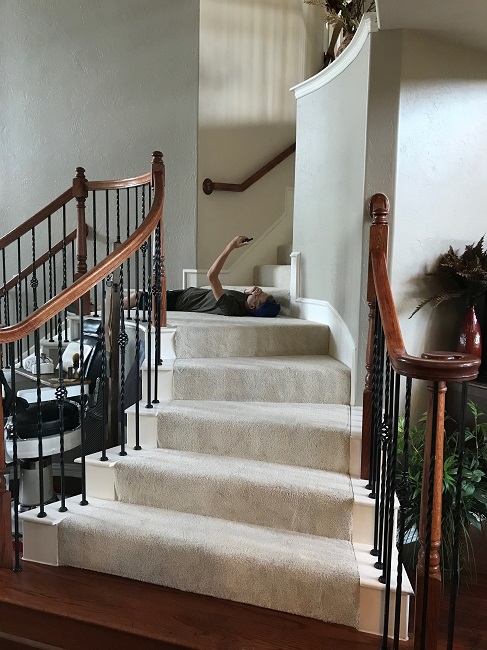 Soothing Stairs With Carpet
