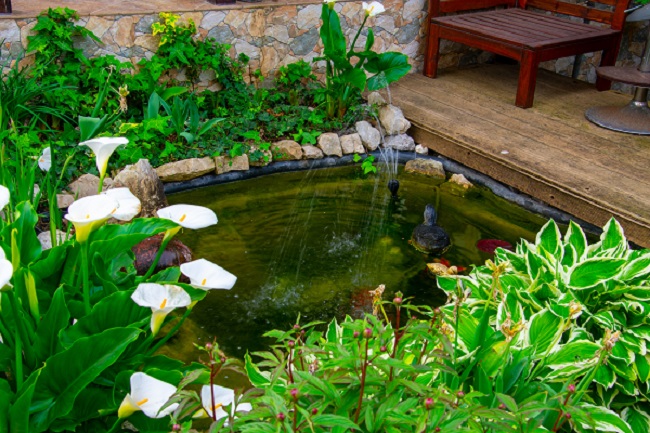 Artificial Pool with Plants