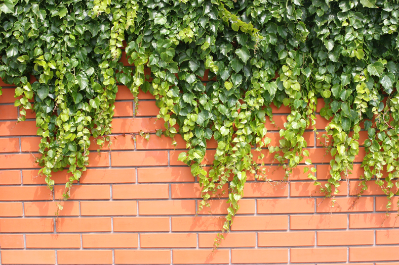 Polished Red Brick Wall