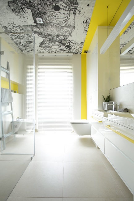 Eye-Catching Bathroom Ceiling Idea