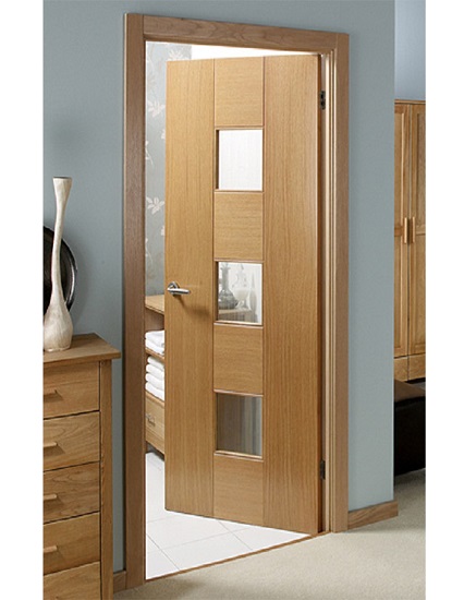 Flush Door Designs With Glass