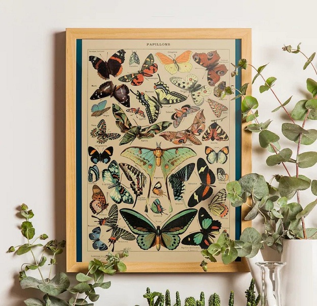 Vintage Butterfly Print