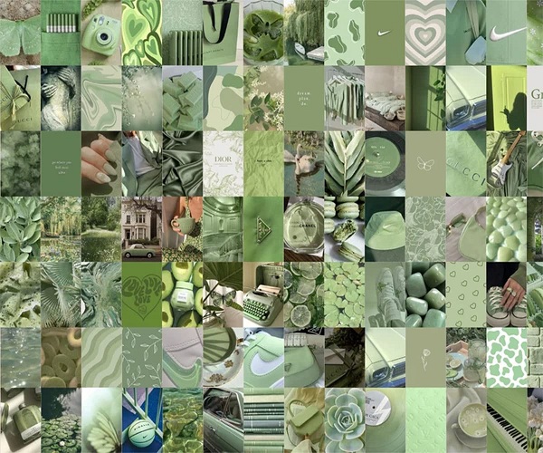 Botanical Decor Items