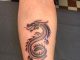 20+ Bold and Mystical Tribal Dragon Tattoo Designs