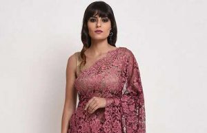 9 Splendid Designs of Lace Sarees for Trending Look