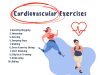 20 Effective Cardiovascular Exercises to Boost Your Heart Health