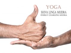 Shiva Linga Mudra: Meaning, Benefits, and Variations