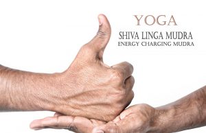 Shiva Linga Mudra: Meaning, Benefits, and Variations