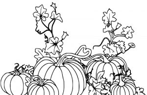 15 Mystical Pumpkin Coloring Pages with Colouring Tips