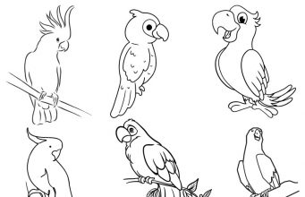 15 Beautiful Parrot Coloring Pages to Engage your Kids