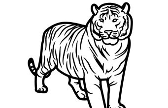 15 Best Tiger Coloring Pages for Kids and Adults in 2025