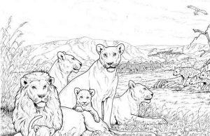 15 Majestic Lion Coloring Pages for Kids of All Ages
