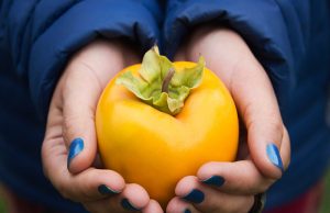 Persimmon (Japani Phal) Benefits During Pregnancy