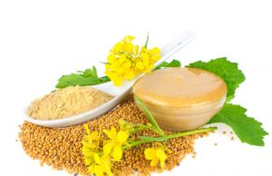 Mustard During Pregnancy: Benefits and Side Effects
