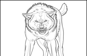 15 Creative Wolf Coloring Pages to Entertain Kids