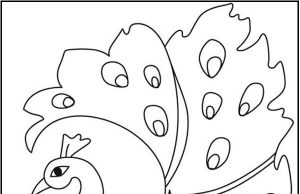 15 Peacock Coloring Pages for Kids to Have Feathery Fun