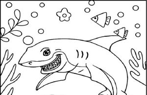 Shark Coloring Pages: Top 15 Color Sheets for Kids of all Ages