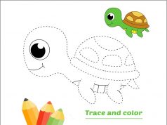 15 Inspiring Turtle Coloring Pages Galore for Kids of All Ages