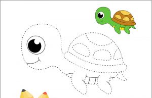15 Inspiring Turtle Coloring Pages Galore for Kids of All Ages